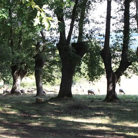 Pazo Torre Do Barrio